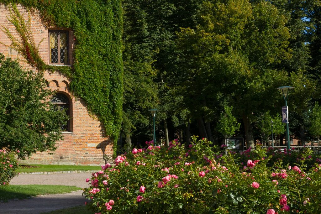 Lundagårdsparken i Lund
