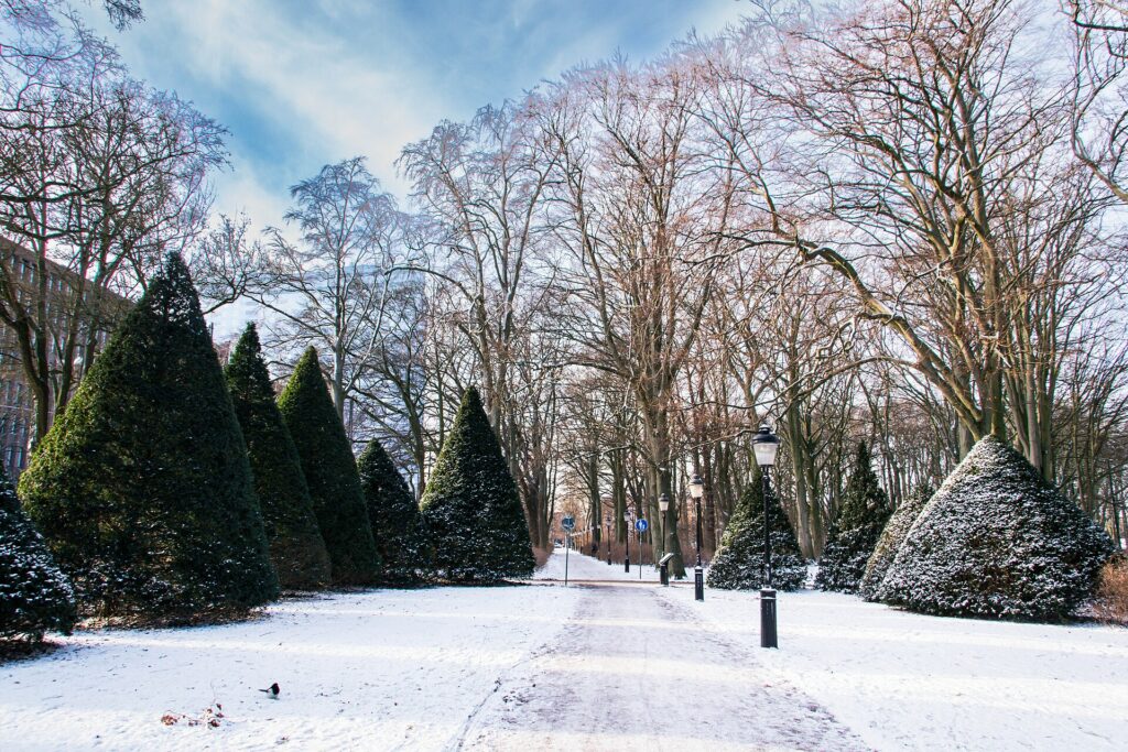 Slottsparken i Malmö en sommardag