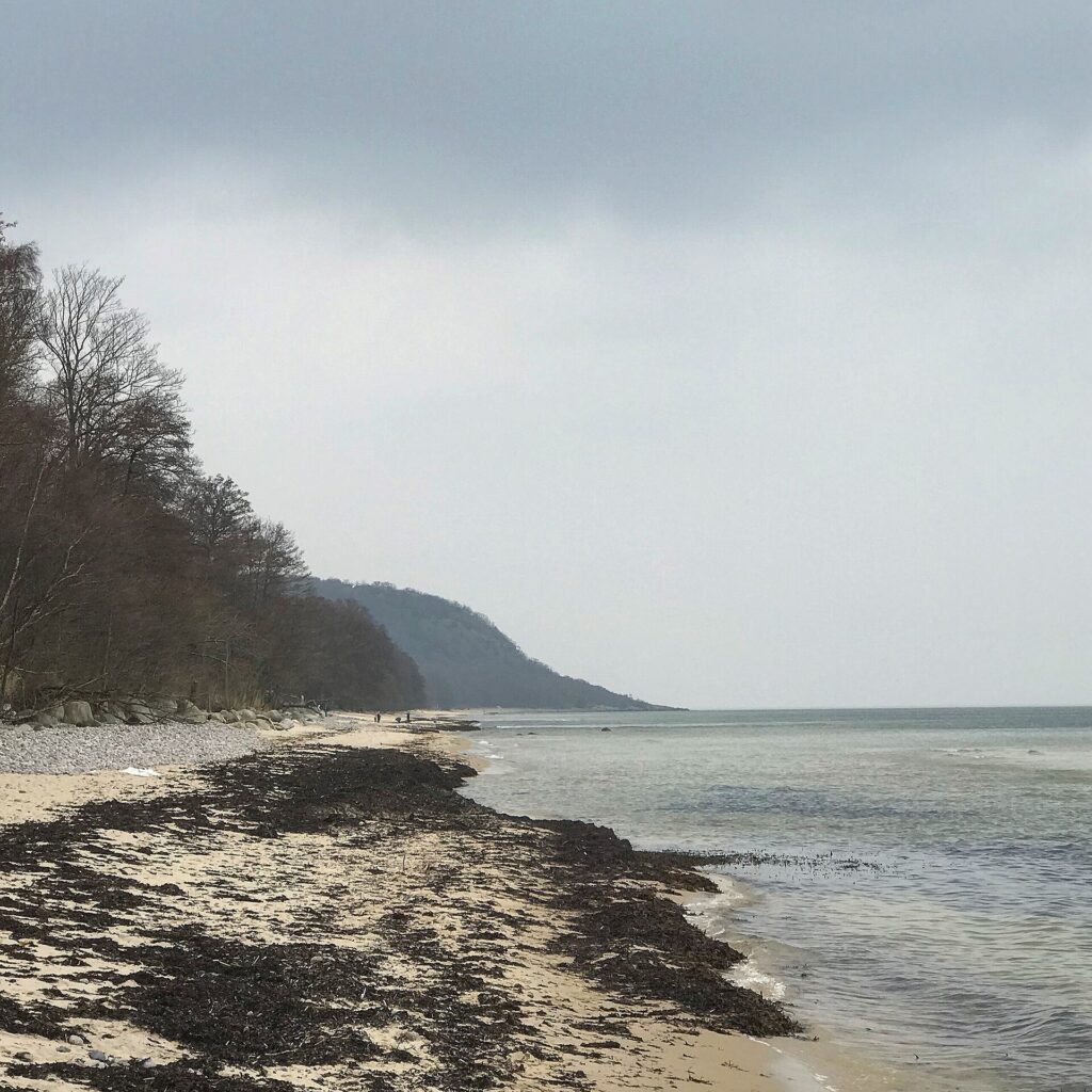 Stenshuvuds nationalpark på Österlen i Skåne